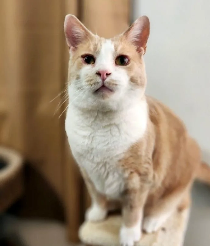 Danny & Ham thumbnail 6