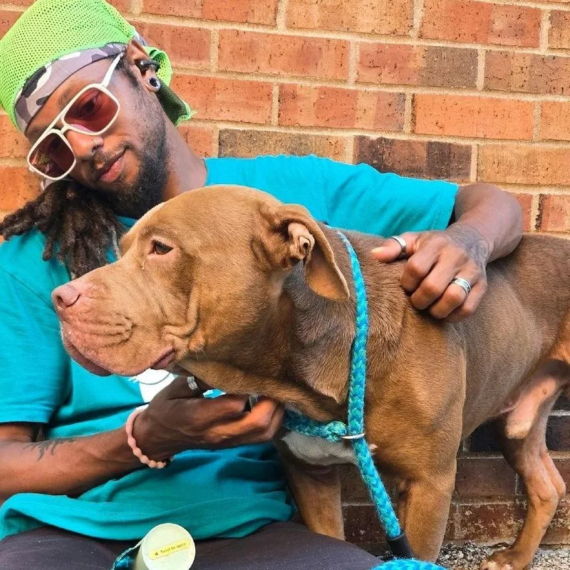 Goofy Greg thumbnail 4