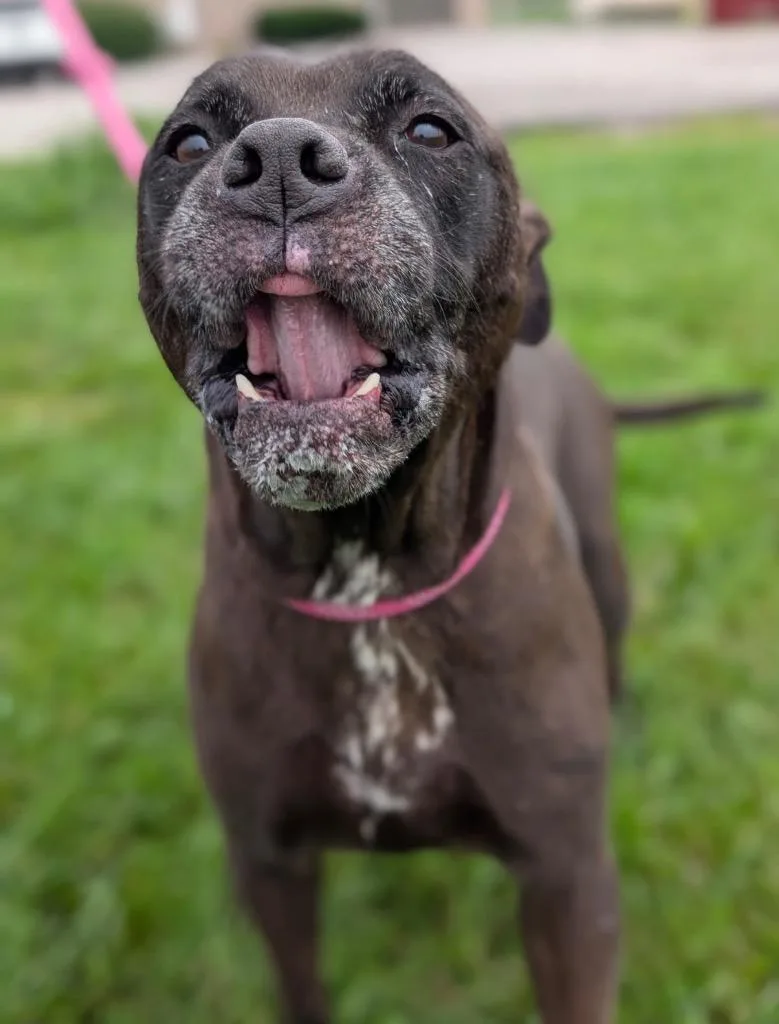 Hershey thumbnail 3