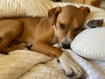 Lady Gaga thumbnail 2