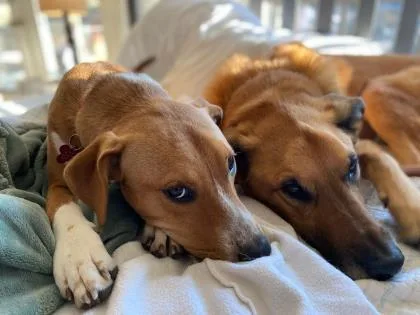 Lady Gaga thumbnail 4