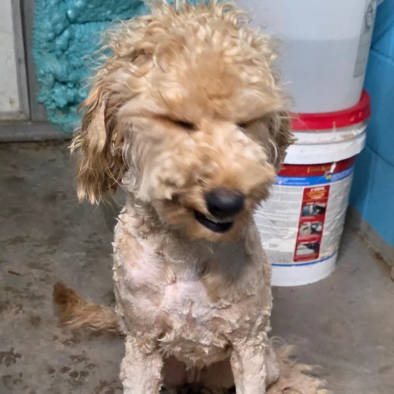 Sunshine thumbnail 2