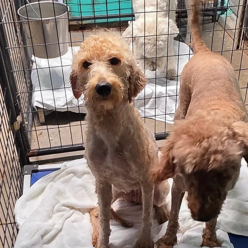 Sunshine thumbnail 3