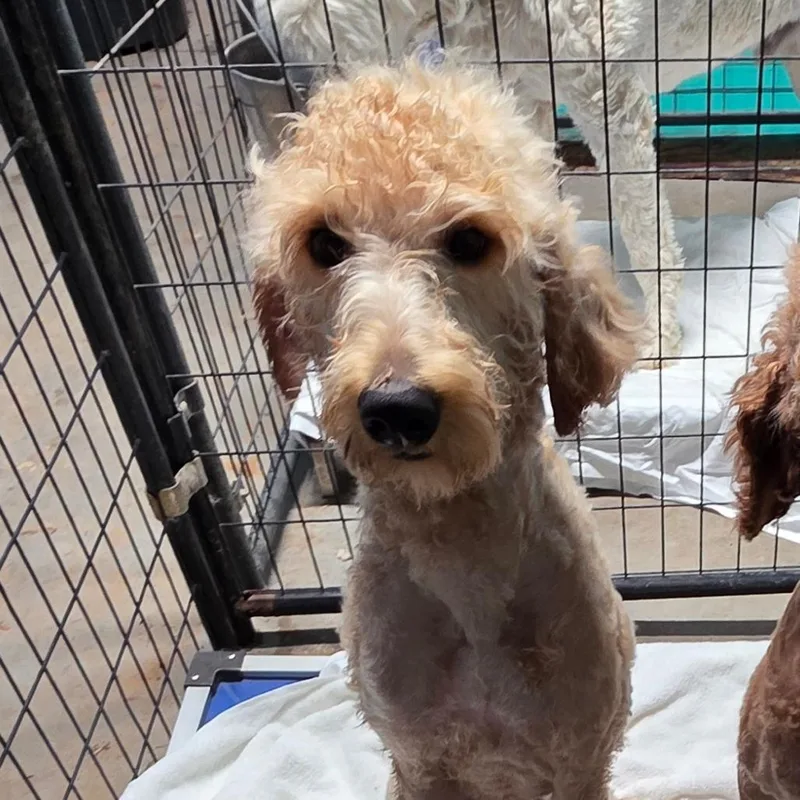 Sunshine thumbnail 4