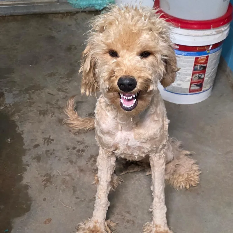 Sunshine thumbnail 5