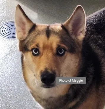 Maggie thumbnail 2