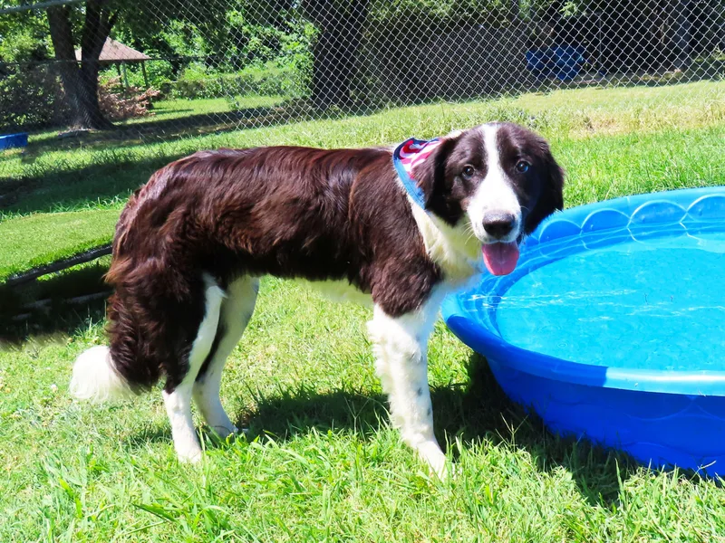 Benny C thumbnail 3