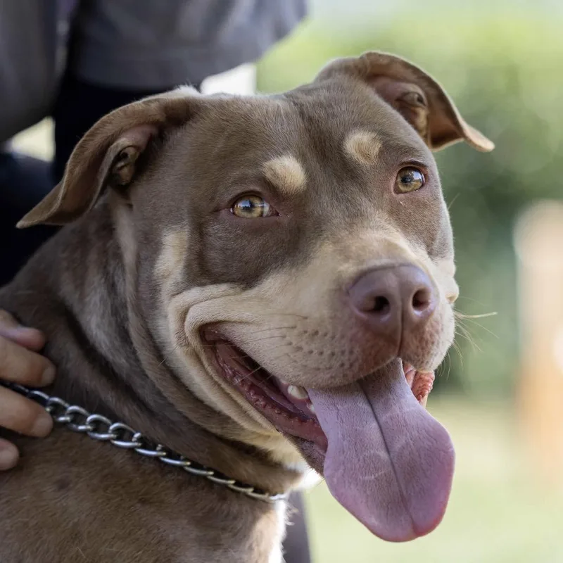 Macy  Ecas thumbnail 2