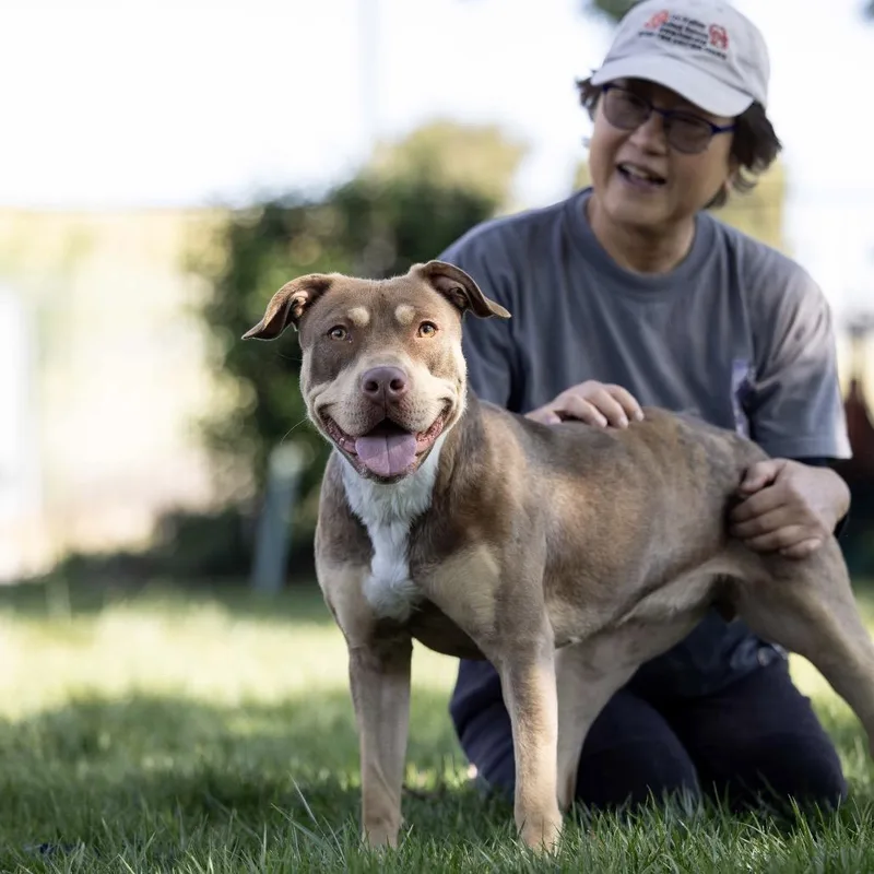 Macy  Ecas thumbnail 3