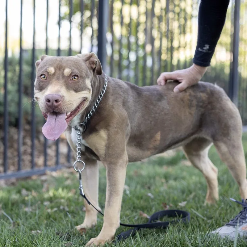 Macy  Ecas thumbnail 4