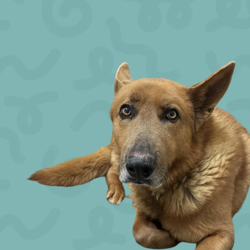 Tobi thumbnail 2