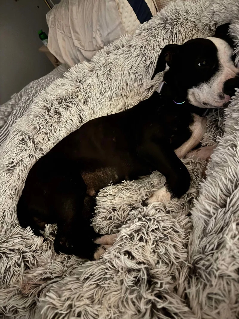 Tiny Tina thumbnail 2