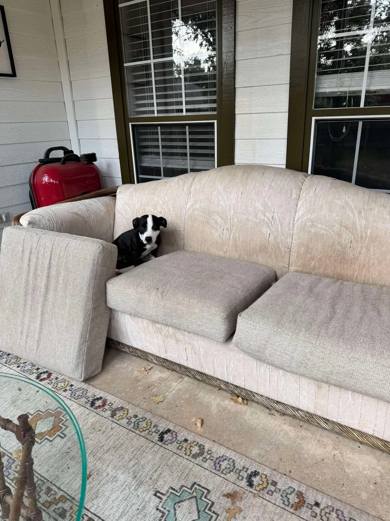 Tiny Tina thumbnail 4