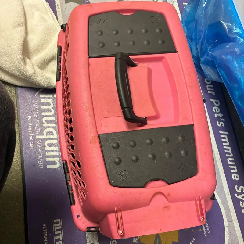 70977 thumbnail 3