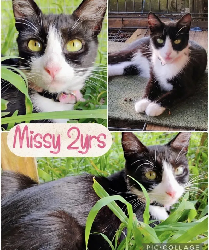 Missy thumbnail 2