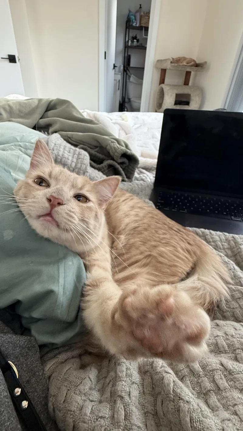 Chuckles “sharing One Brain thumbnail 2