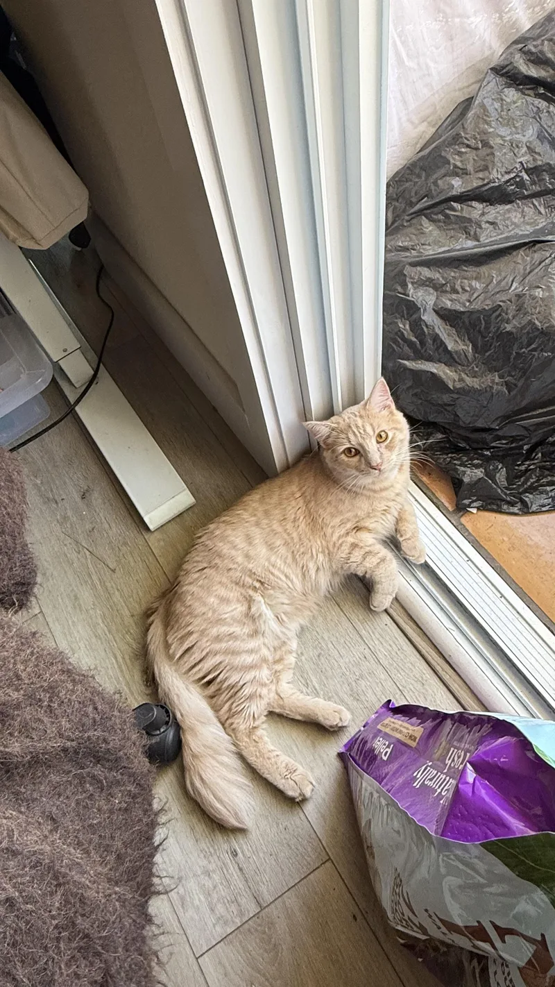 Chuckles “sharing One Brain thumbnail 3