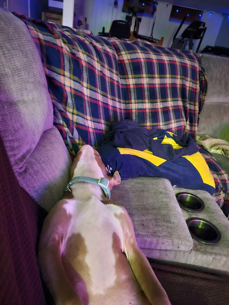 Bam Bam Os thumbnail 3