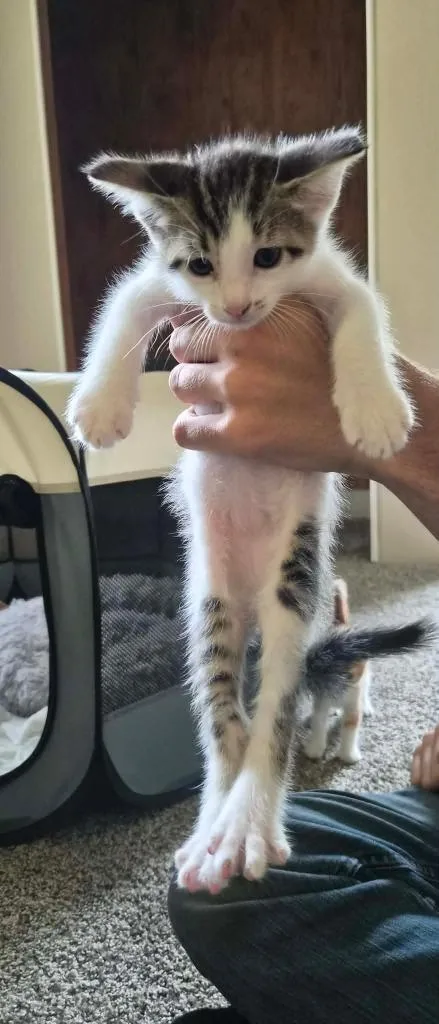 Gary