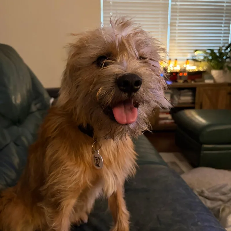 Tito thumbnail 4