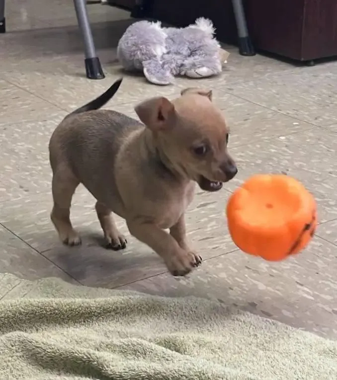 Mary Ann thumbnail 2