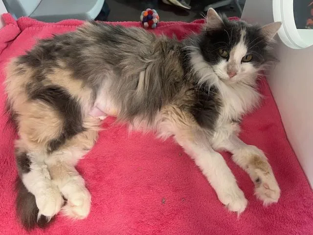 Sweater Weather thumbnail 2