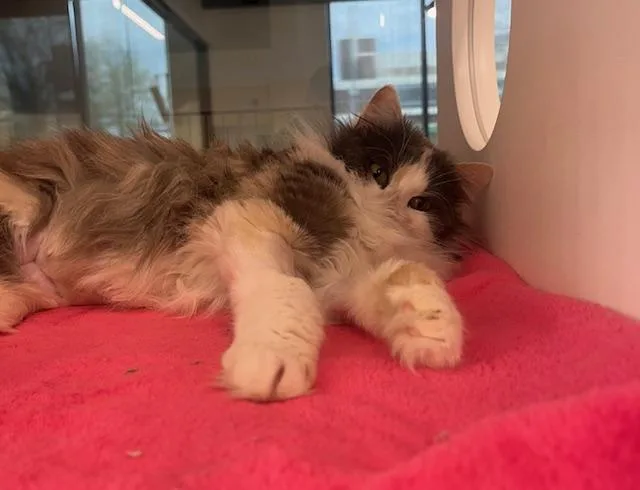 Sweater Weather thumbnail 3