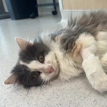 Sweater Weather thumbnail 4