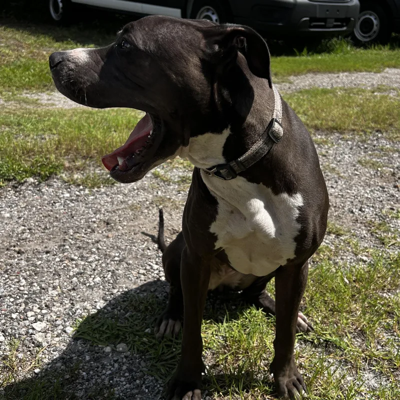 Daisymay thumbnail 5