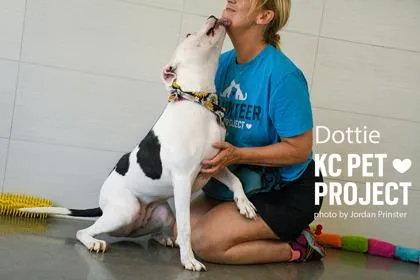 Dottie thumbnail 2