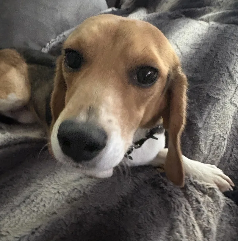 Tucker