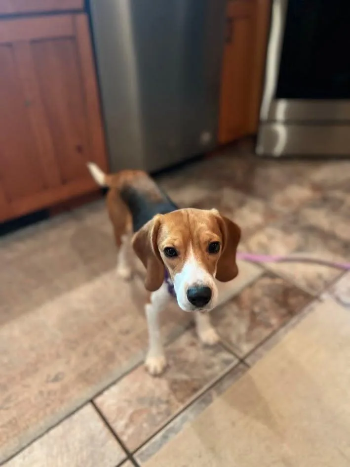 Marley