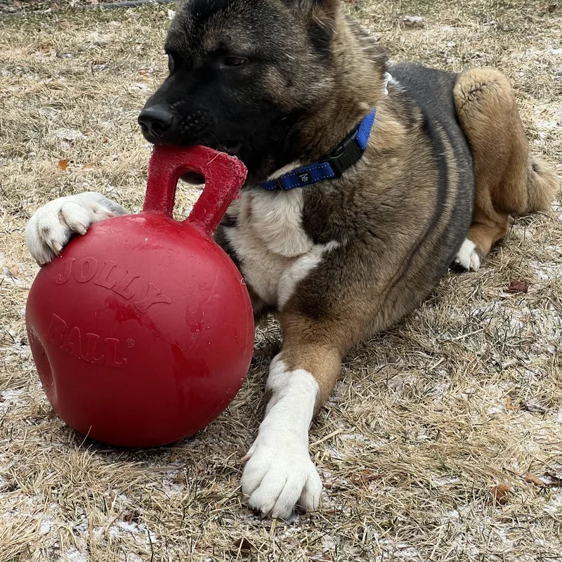 Quincy Aka Quinn thumbnail 2