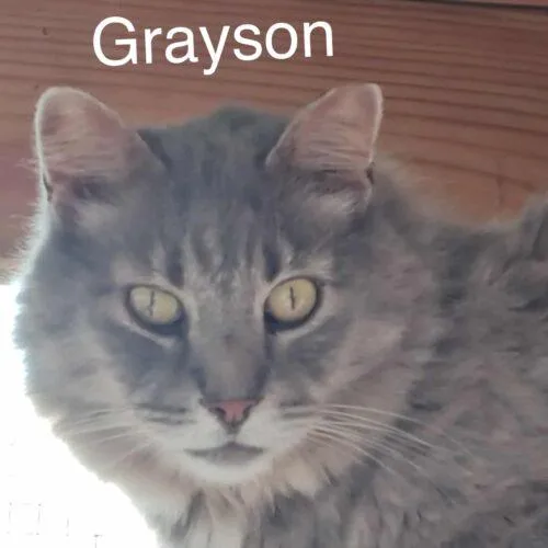Grayson Coop