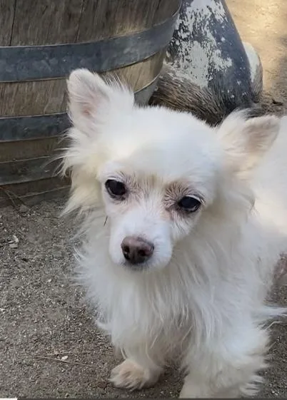 Princess And Zoro thumbnail 3