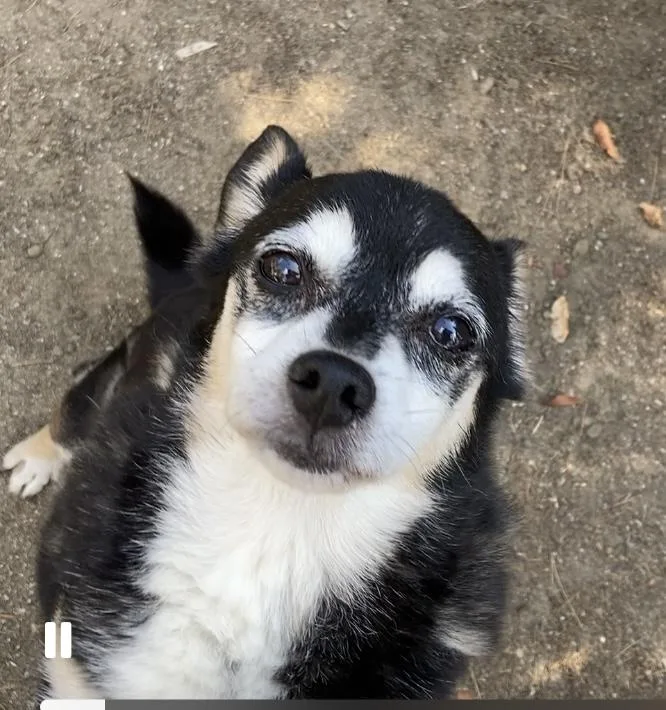 Princess And Zoro thumbnail 5