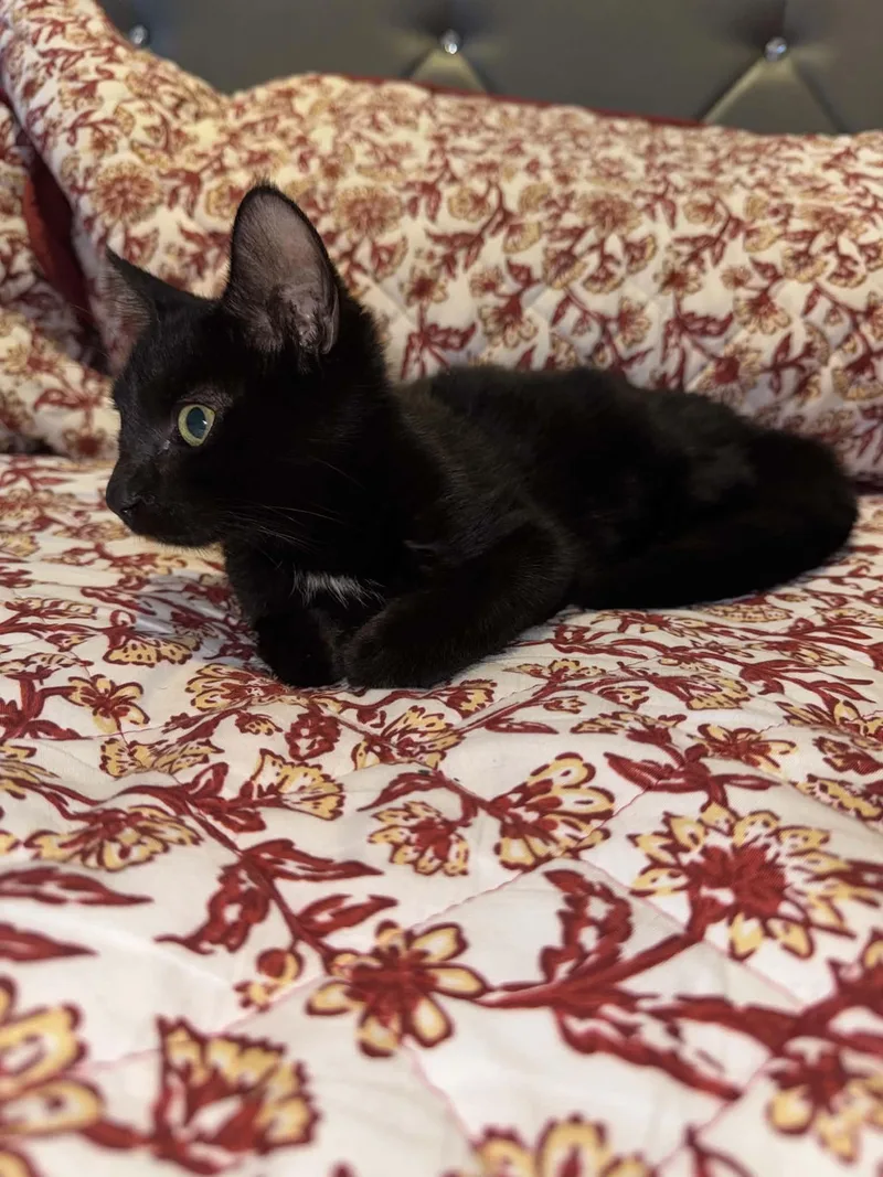 Betty thumbnail 2