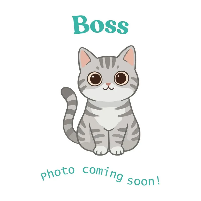 Boss thumbnail 5