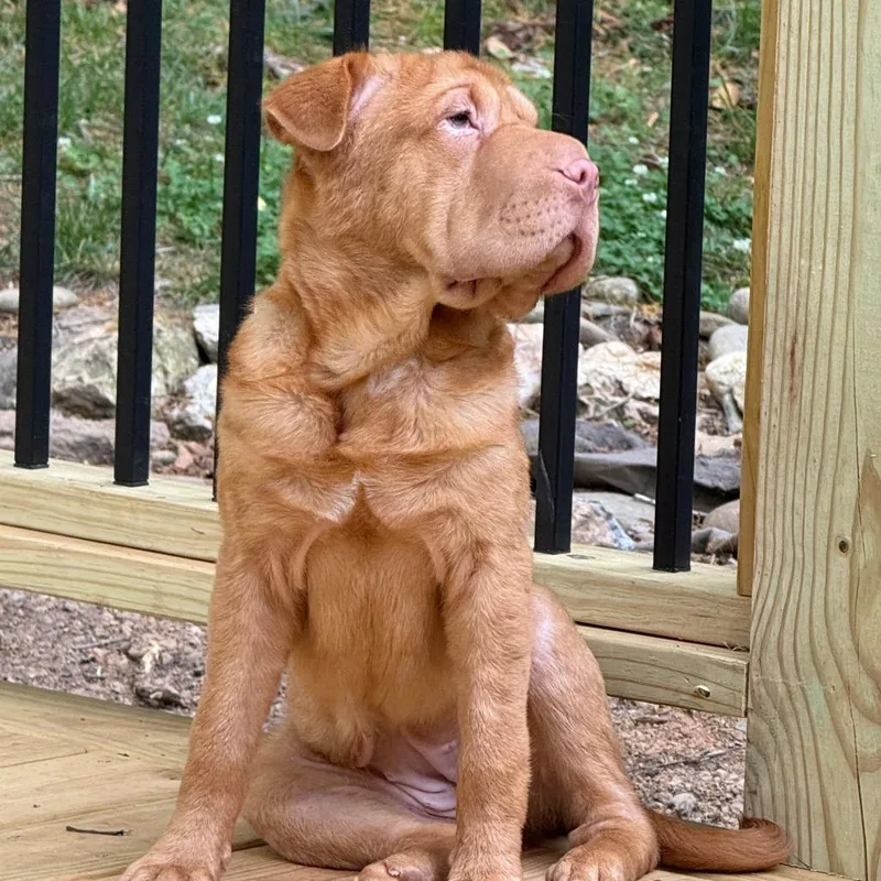 Georgia