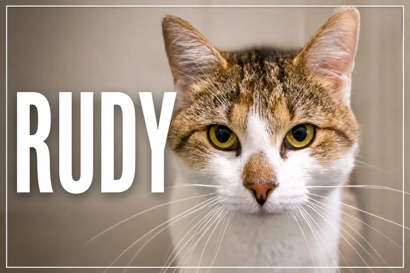Rudy thumbnail 2