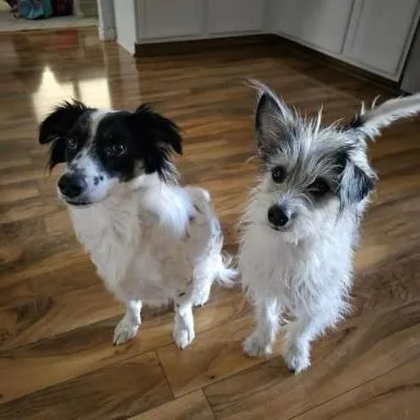 Bolt And Lightning