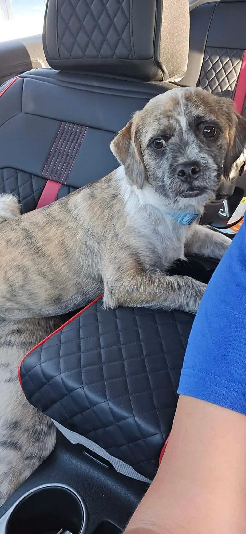 Pablo