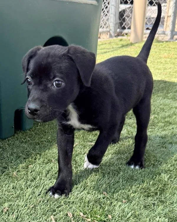 Gabriella thumbnail 2