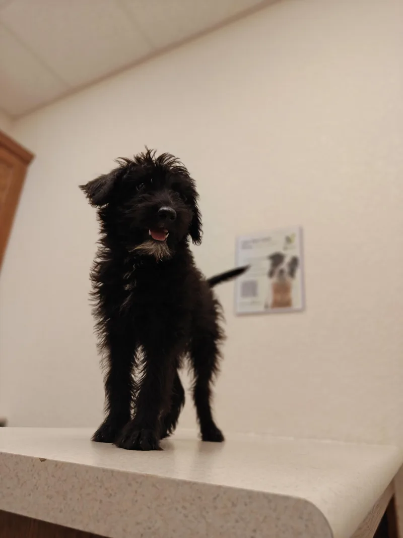 Winnie