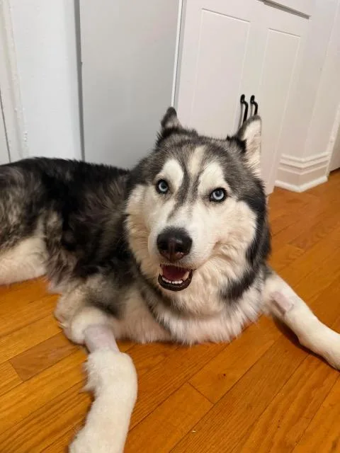 Jake