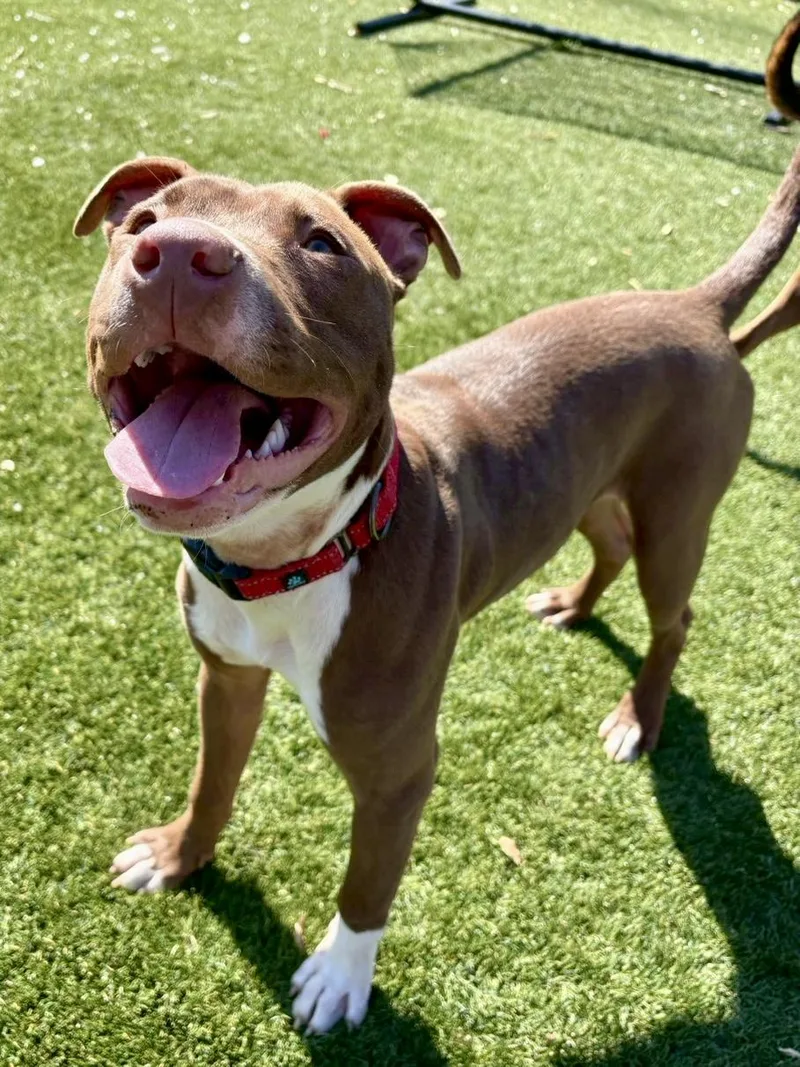 Princeton thumbnail 2