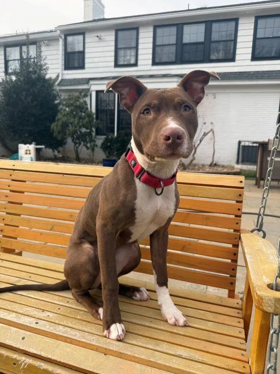 Princeton thumbnail 4