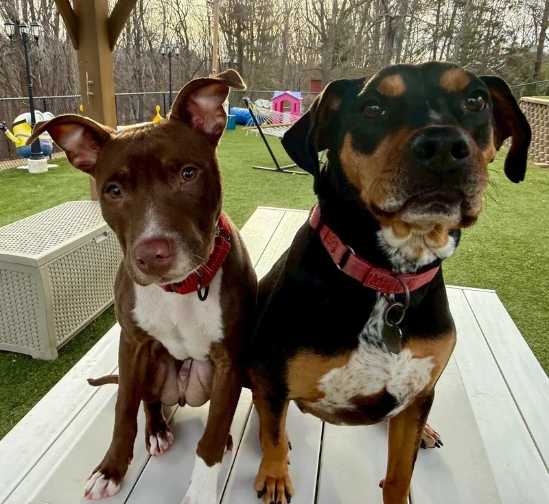 Princeton thumbnail 5