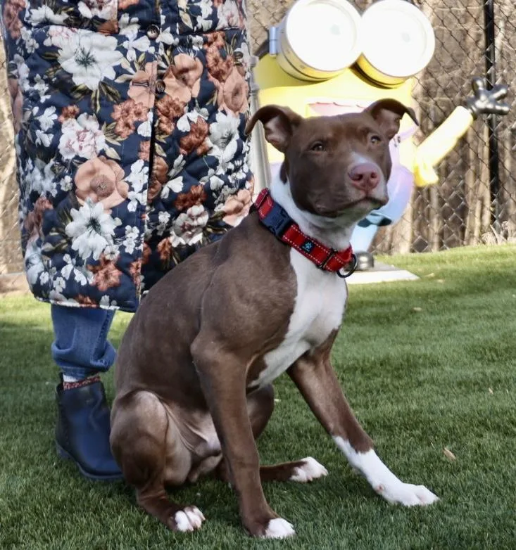 Princeton thumbnail 6