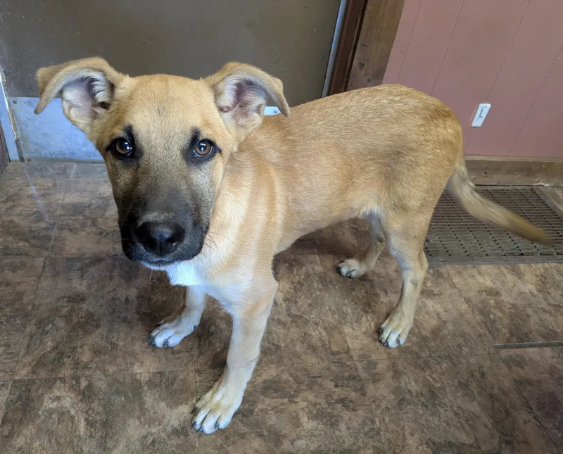 Its Bama! thumbnail 2